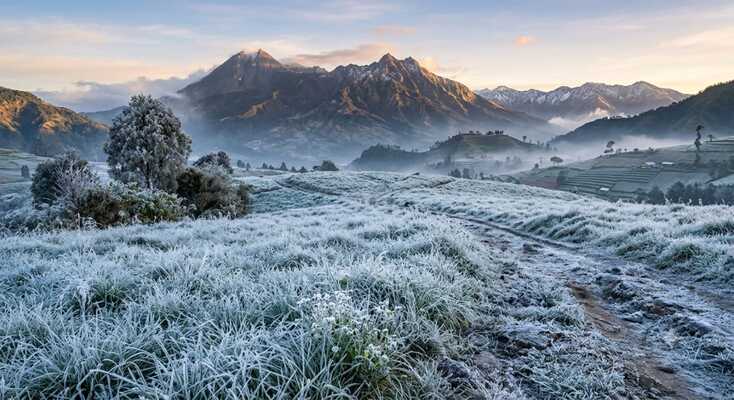 dieng