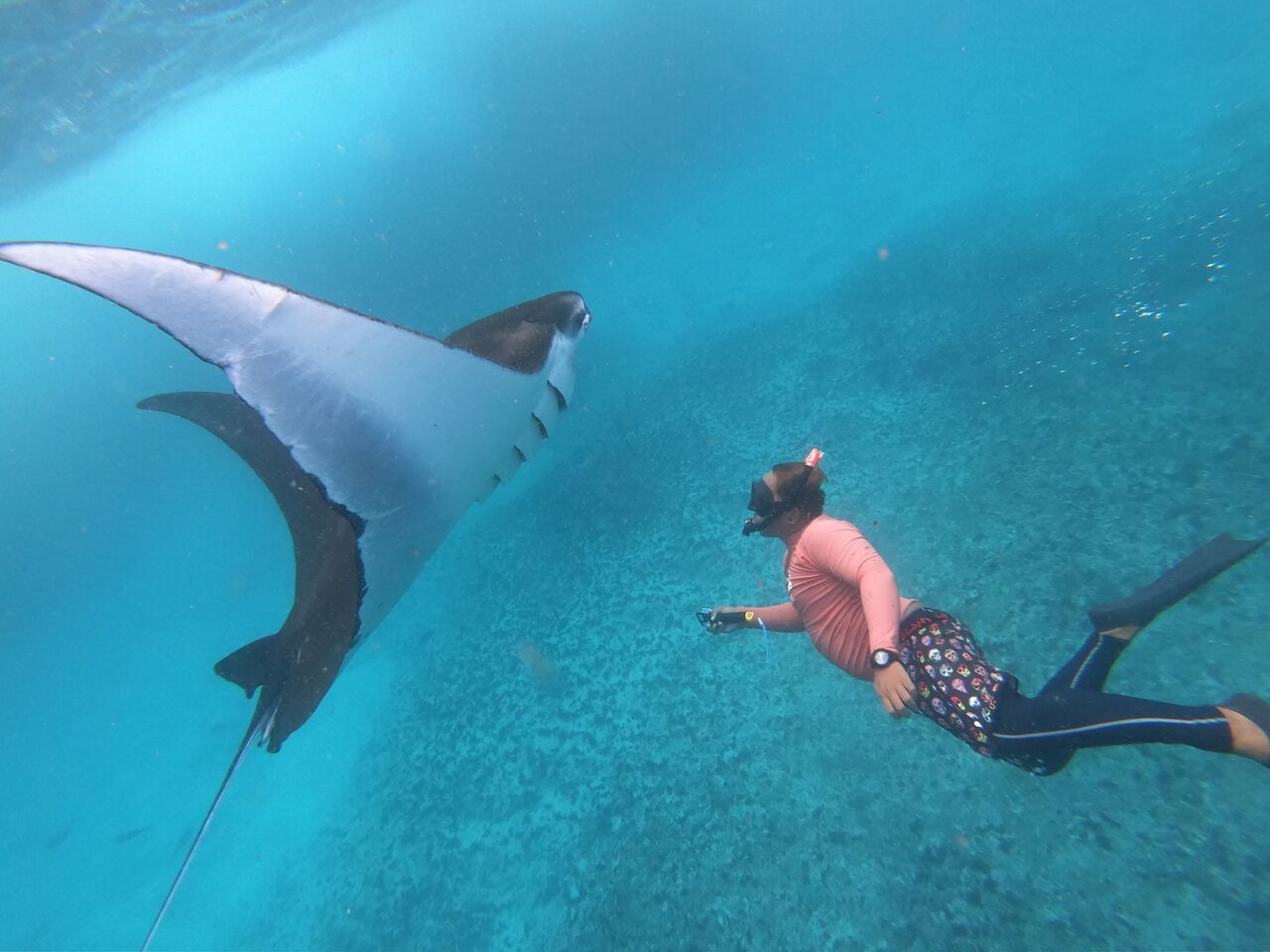 Best Snorkeling Nusa Lembongan