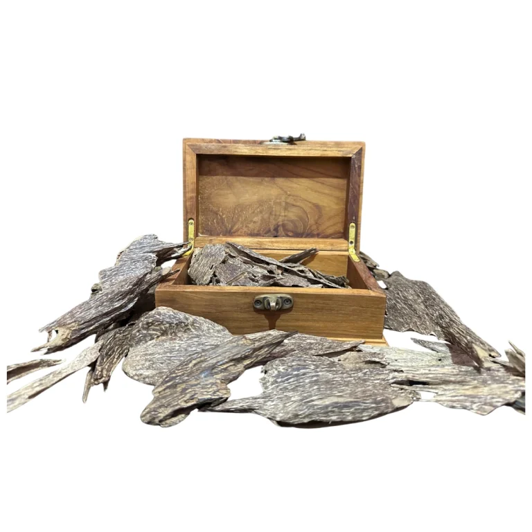 Sumatra Agarwood